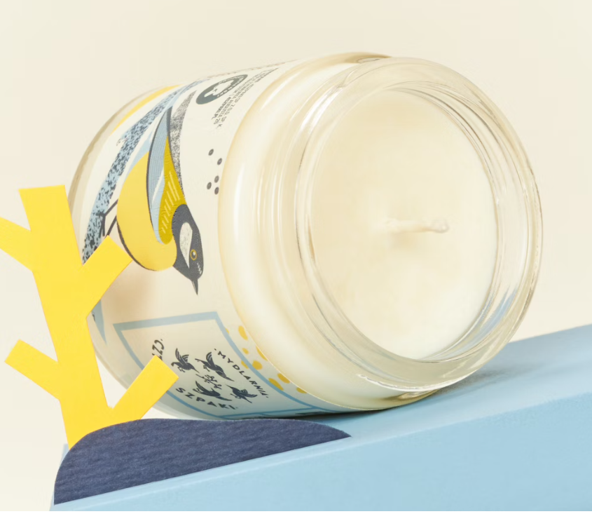 Świeca sojowa 4 szpaki